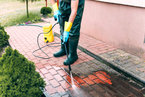 Best Sidewalk Pressure Washing  in Wenona, IL