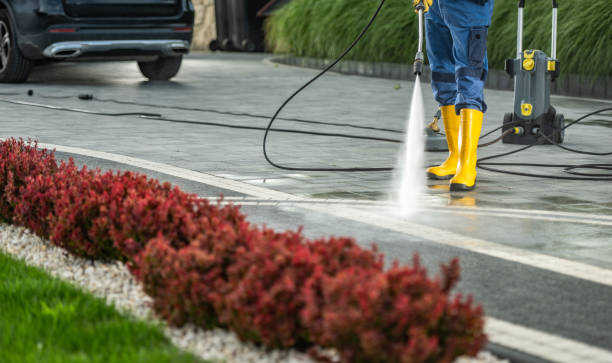 Best Garage Pressure Washing  in Wenona, IL