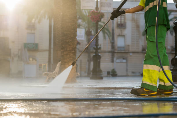 Best Residential Pressure Washing Services  in Wenona, IL