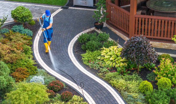 Best Deck Cleaning Services  in Wenona, IL