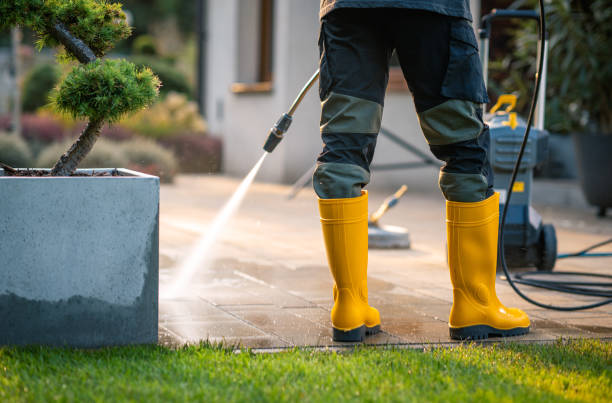 Best Residential Pressure Washing Services  in Wenona, IL